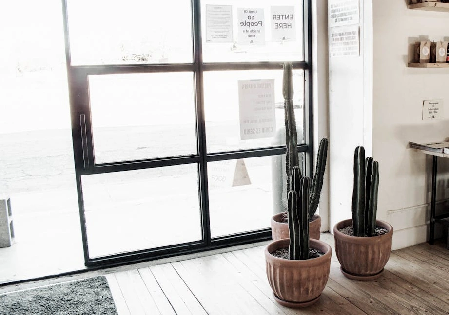 Moderní a ekologická kancelář týmu GreenInvest v Praze.